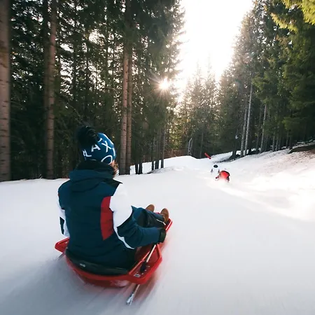 Lejlighed Confortable 2 Pieces, Skis Aux Pieds Et Proche Des Commerces - Fr-1-182a-28 *